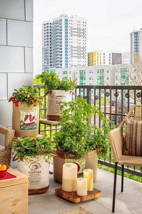 A container vegetable garden growing in burlap sacks on a city balcony